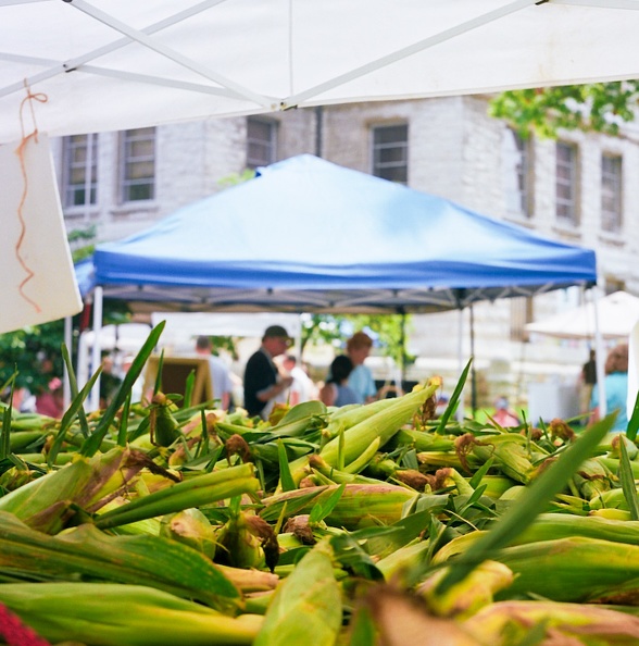 Farmers Market - 05 - Just corn.jpg